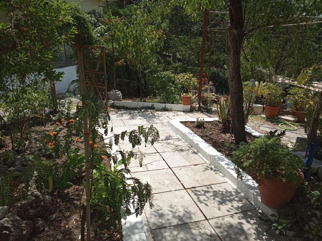 Akis Garden